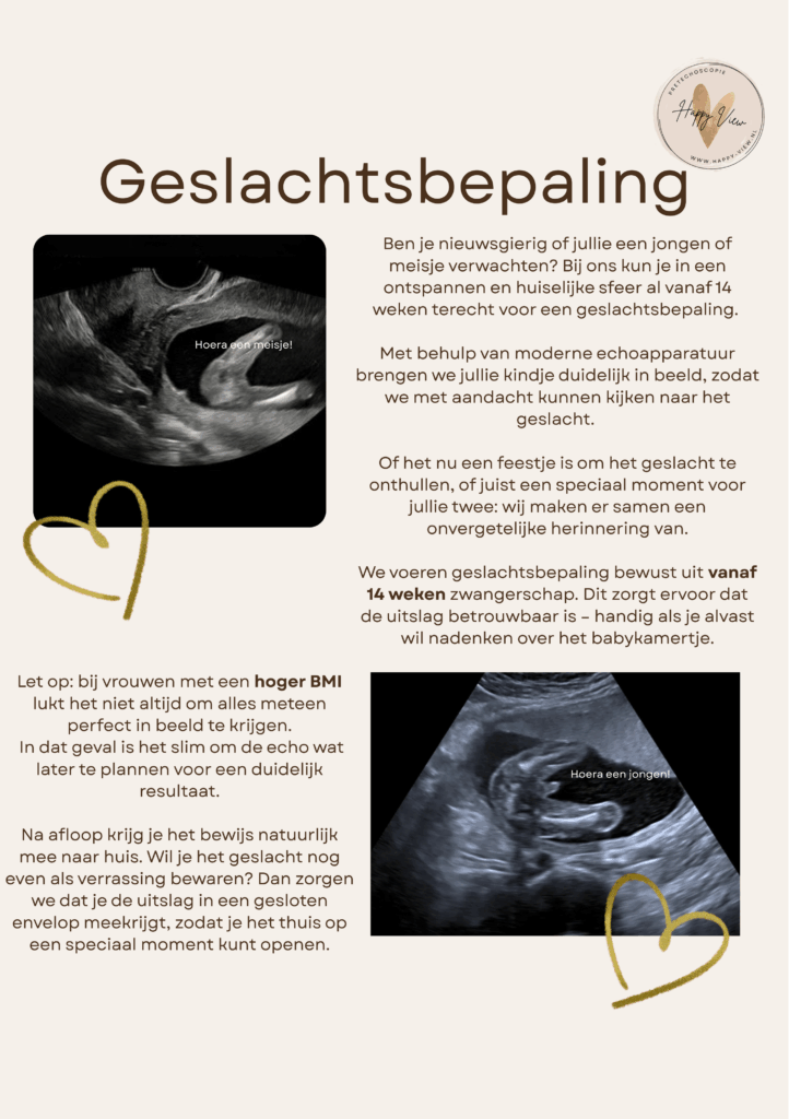 Geslachtsbepaling HappyView Vlaardingen 2D echo geslacht zwanger gender reveal
